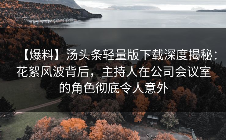 【爆料】汤头条轻量版下载深度揭秘：花絮风波背后，主持人在公司会议室的角色彻底令人意外