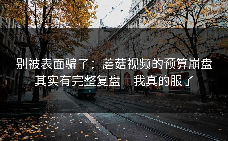 别被表面骗了：蘑菇视频的预算崩盘其实有完整复盘｜我真的服了